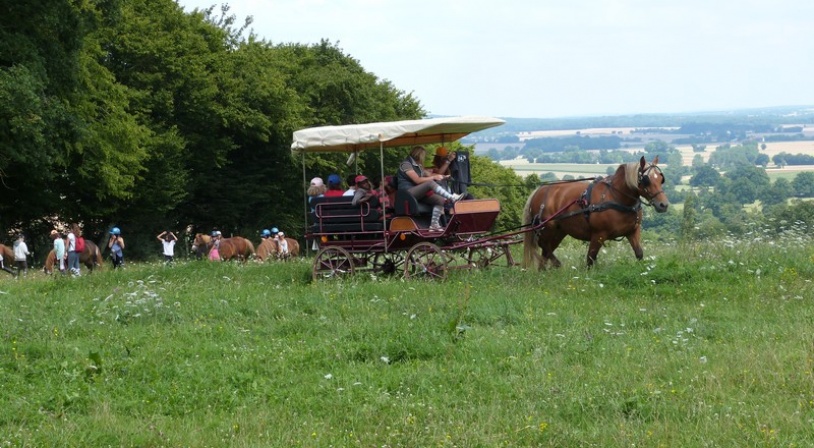 Colonie de vacances equitation (10).